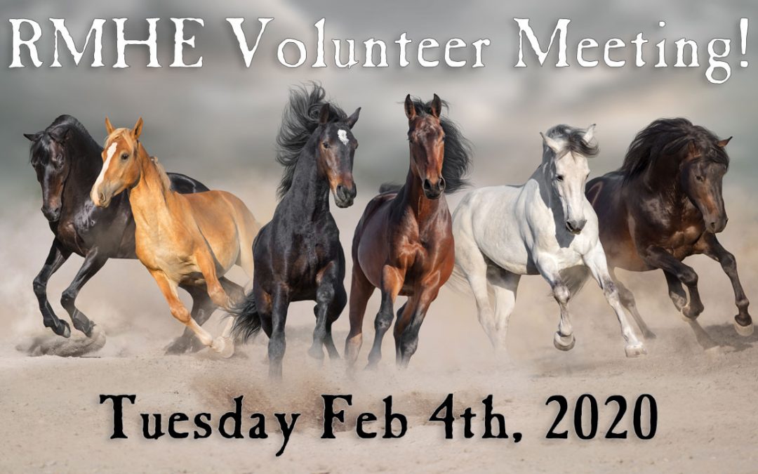 Volunteers Needed @ The Rocky Mountain Horse Expo
