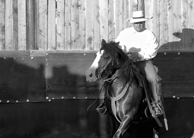 Horsemanship: The Why Before The How