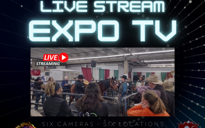 Expo TV – Live Streaming