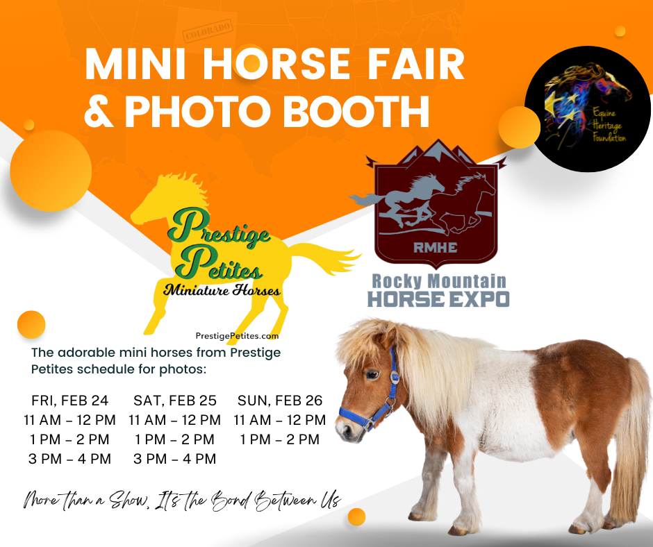 Mini Horse Fair & Photo Booth
