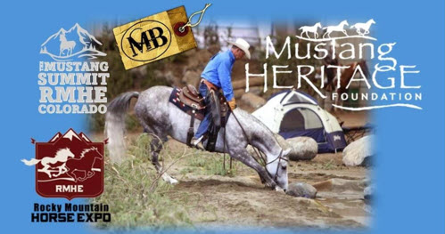 2024 Rocky Mountain Horse Expo, Mustang Heritage, Extreme Trail