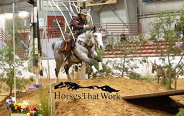 Cowboy Race, Trevor Mertes, Horses That Work