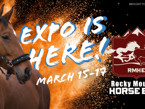 Expo Is Here!