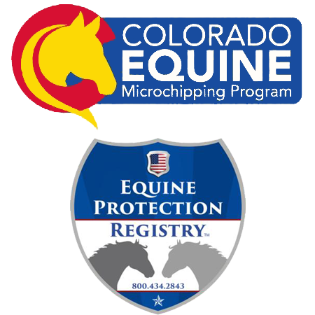 Equine-Chip
