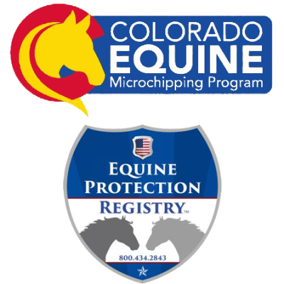 Equine Chip & Registration