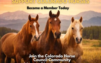 Support Colorado Horses