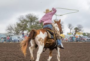 2018 Heritage Ride in support of the Colorado Horse Council